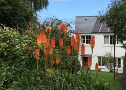 Photo of Holiday Cottage for websit